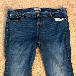 Size 24S Torrid Bootcut Jeans
